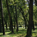 Limanski Park image